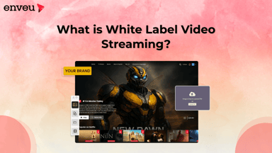 What Is White Label Video Streaming