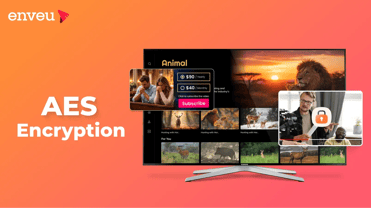 AES Encryption - Secure Your Data with Advanced Encryption Standard | Enveu