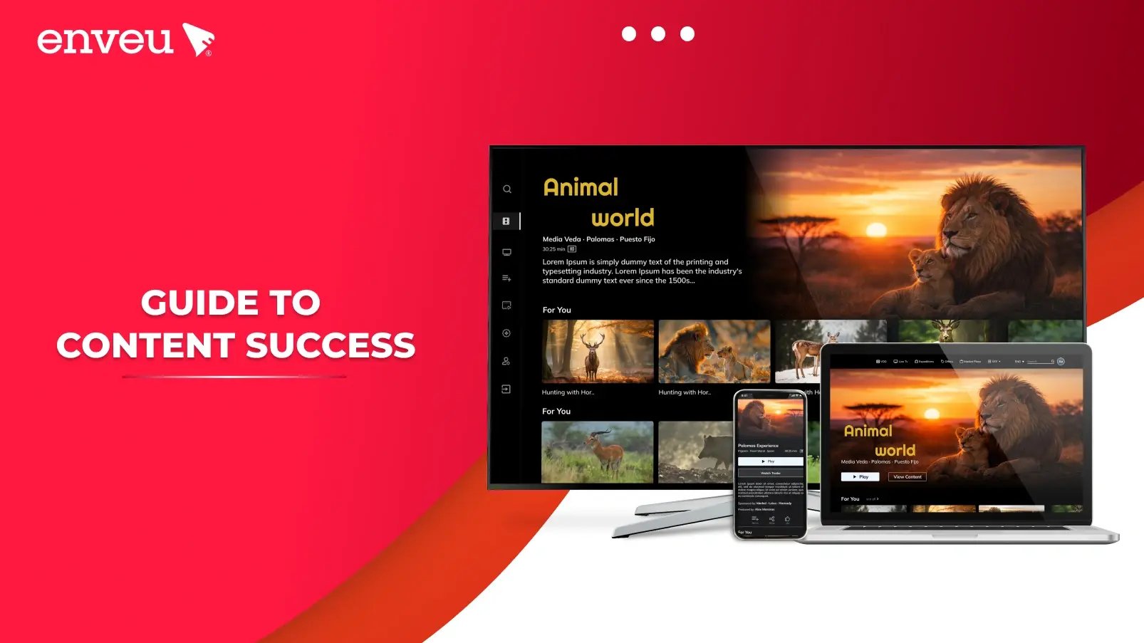  Choosing Top OTT Distributors