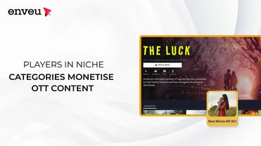 How can Players in Niche Categories Monetise OTT Content? | Enveu