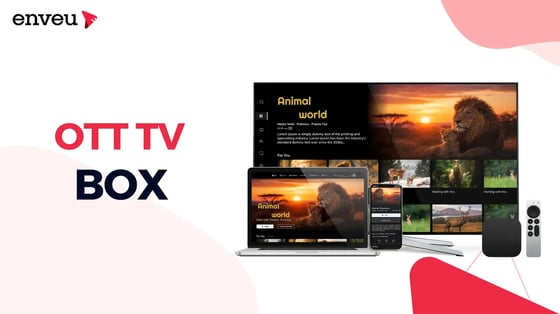OTT TV Box