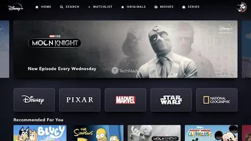 OTT Distributors (Disney +)