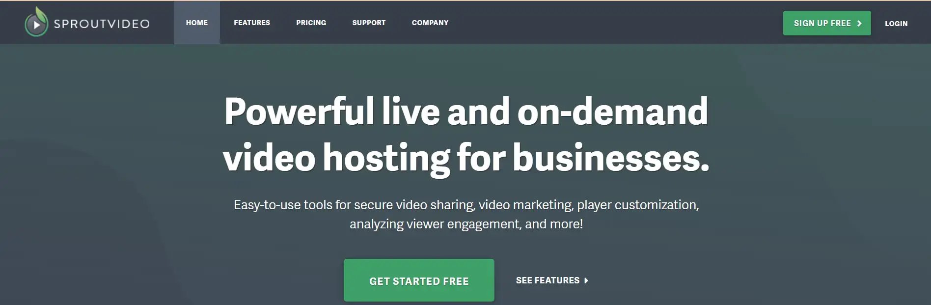 Wistia Competitors 