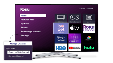 Ultimate Guide: Roku Direct Publisher Channel to SDK | Enveu