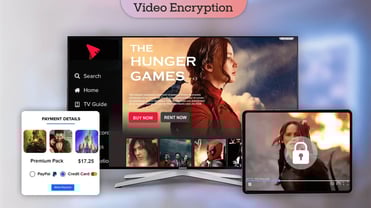 Video Encryption: Techniques, Components and Challenges | Enveu